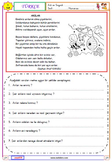 3. Sınıf Türkçe Okuma ve Anlama  Etkinliği ( Arılar )